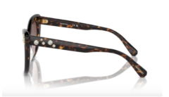 Swarovski Sk6020 100213 55 20 145 Güneş Gözlüğü