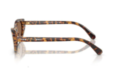 Swarovski Sk6030 1040/73 52 19 140 Güneş Gözlüğü