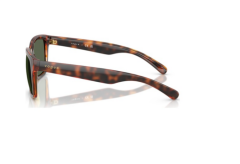 Vogue Vo5648 271871 54 17 140 3N Güneş Gözlüğü