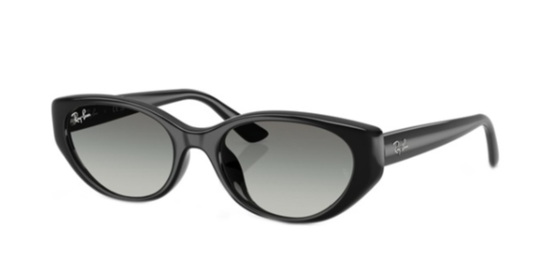 Ray-Ban Rb4457D 6677/11 55 19 145 2N Güneş Gözlüğü
