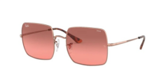Ray-Ban Rb1971 9151AA 54 19 145 Evolve Güneş Gözlüğü