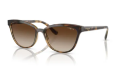 Vogue Vo5496-SI W65613 54 17 140 3N Güneş Gözlüğü