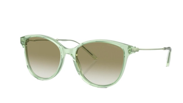 Emporio Armani Ea4220 6107/8E 54 17 140 2N Güneş Gözlüğü