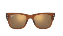 Ray-Ban Rb0840S 6636/93 51 21 145 3N Güneş Gözlüğü