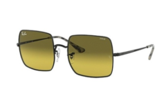 Ray-Ban Rb1971 9152//Ab 54 19 145 2F Kristal Evolve Güneş Gözlüğü